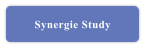 Synergie Study