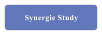 Synergie Study