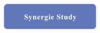 Synergie Study